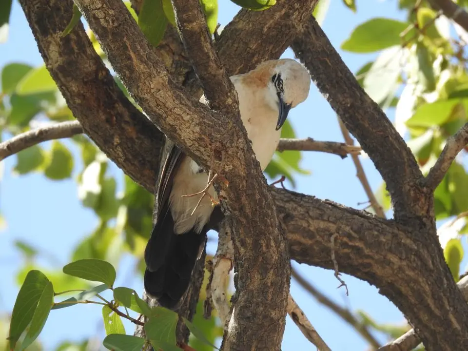 e.JPG