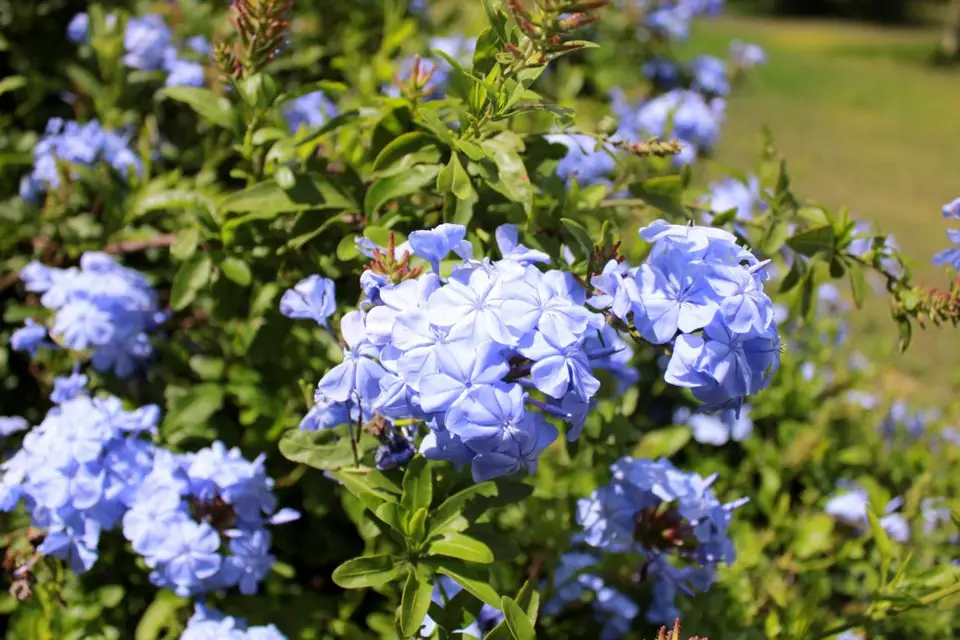 h1284e2b.JPG