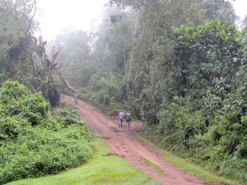h1622419.JPG