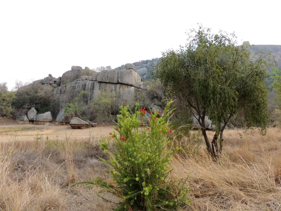 h16298c9.JPG