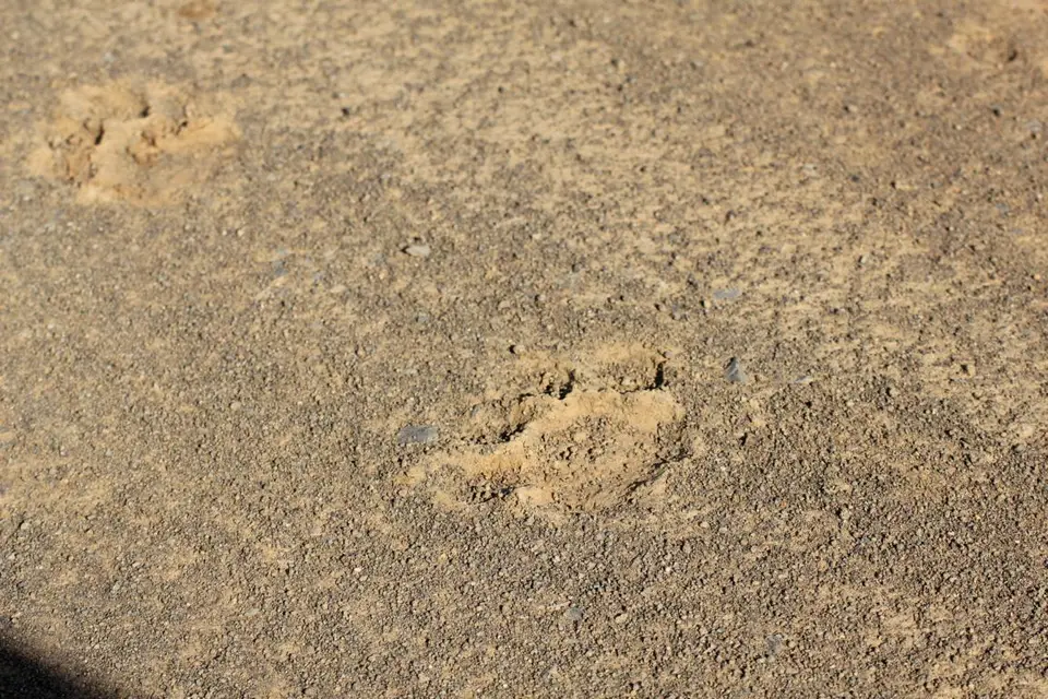 h462634d.JPG