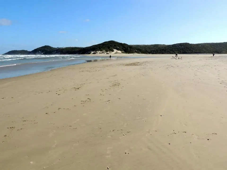 h5057a55.JPG
