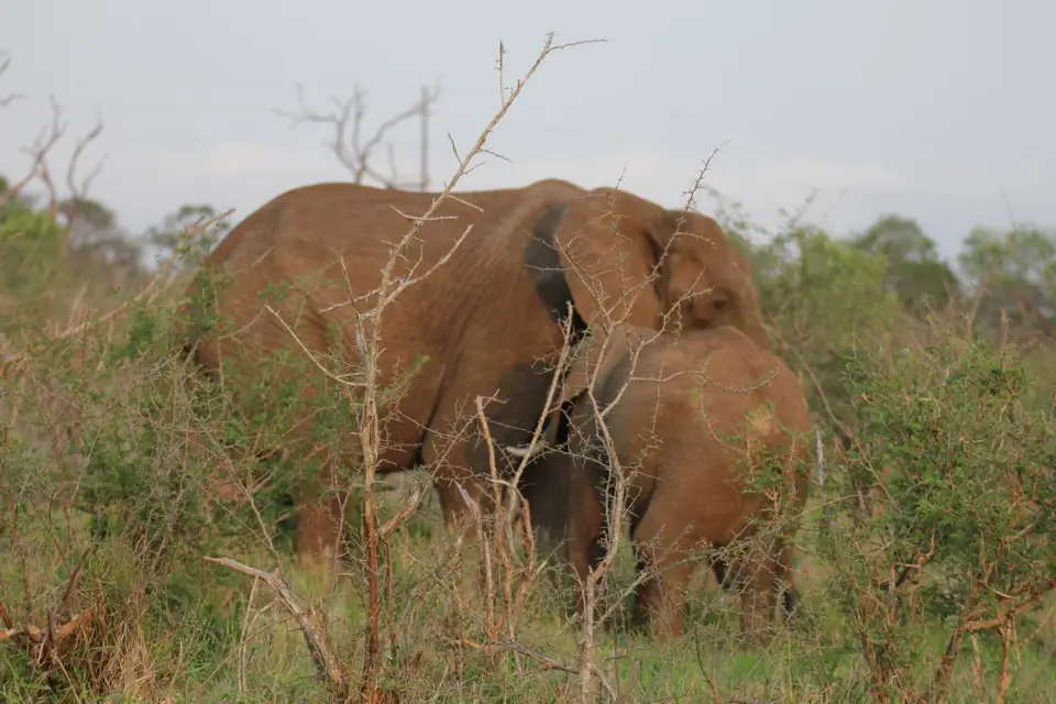 h5d9c917.JPG