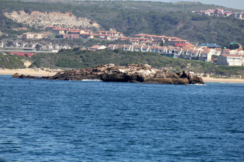 h7659204.JPG