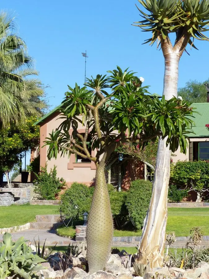 h7578713.JPG