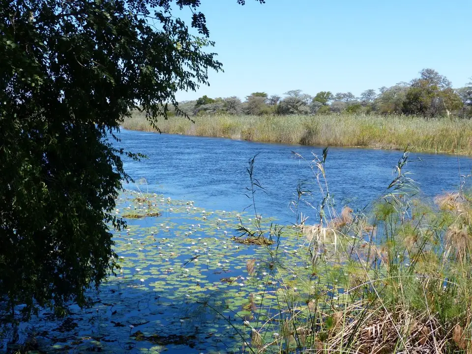 h959fd9c.JPG