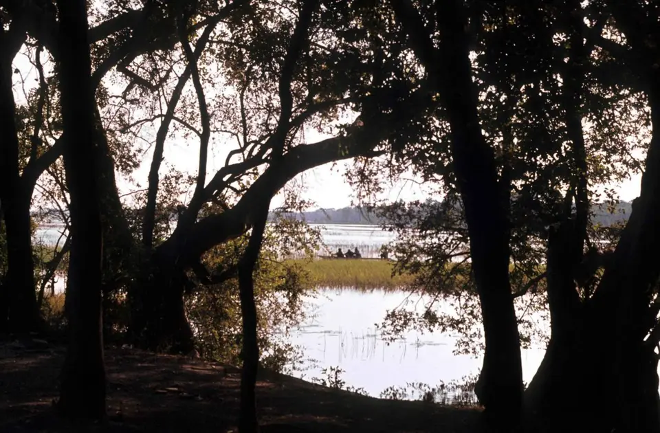 13_Thamalakane1976.jpg