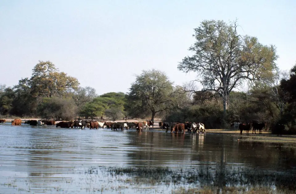 15_MaunzumLakeNgami1976.jpg