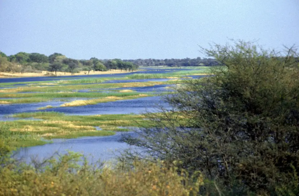 16_Boteti1976.jpg