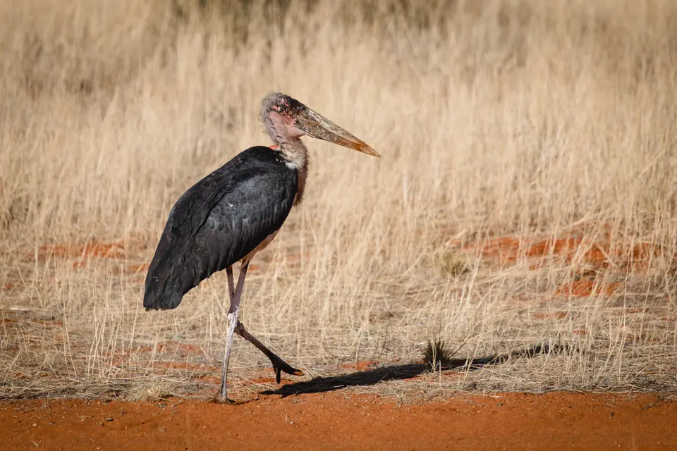 006-Namibia_Reisebericht_2023.jpg