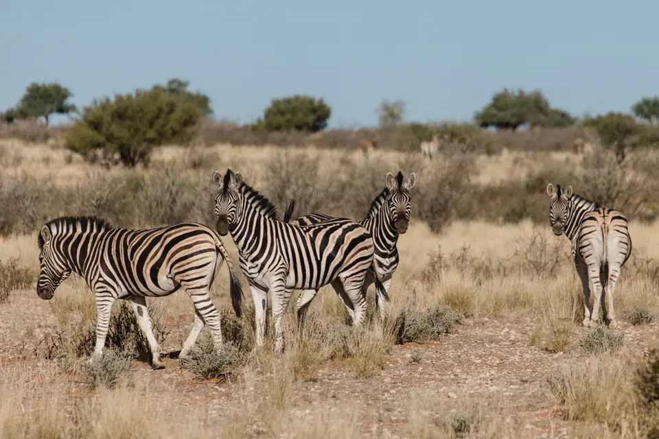 007-Namibia_Reisebericht_2023.jpg