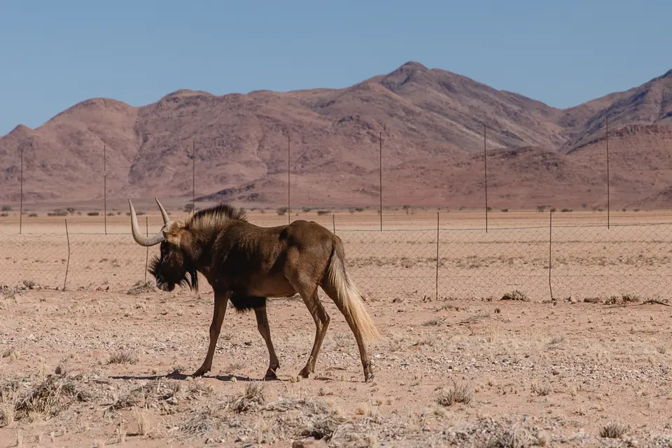 008-Namibia_Reisebericht_2023-2.jpg