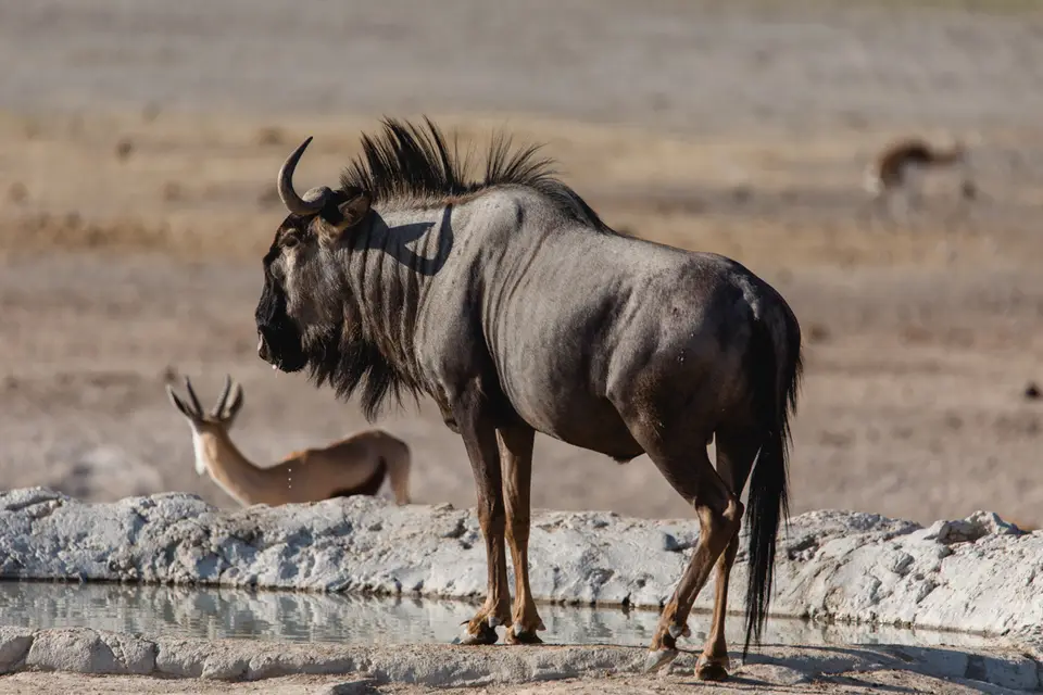 009-Namibia_Reisebericht_2023-2-3-4-5-6-7.jpg