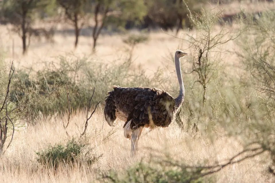 013-Namibia_Reisebericht_2023.jpg