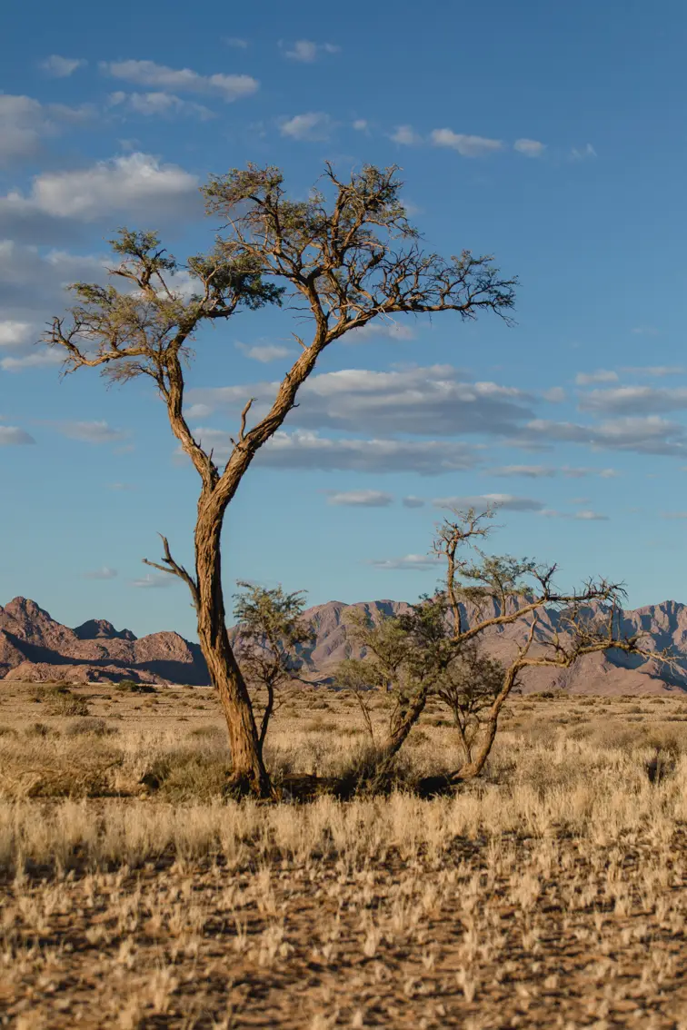 014-Namibia_Reisebericht_2023-2.jpg