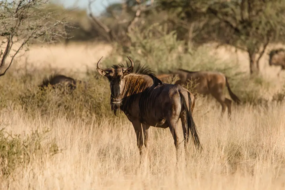 015-Namibia_Reisebericht_2023.jpg