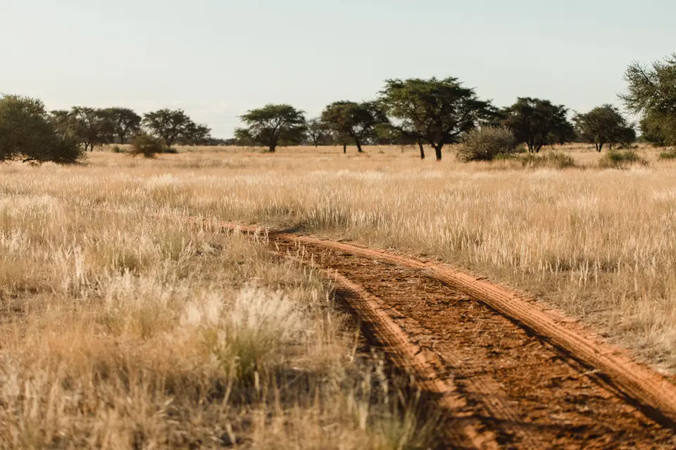 017-Namibia_Reisebericht_2023.jpg