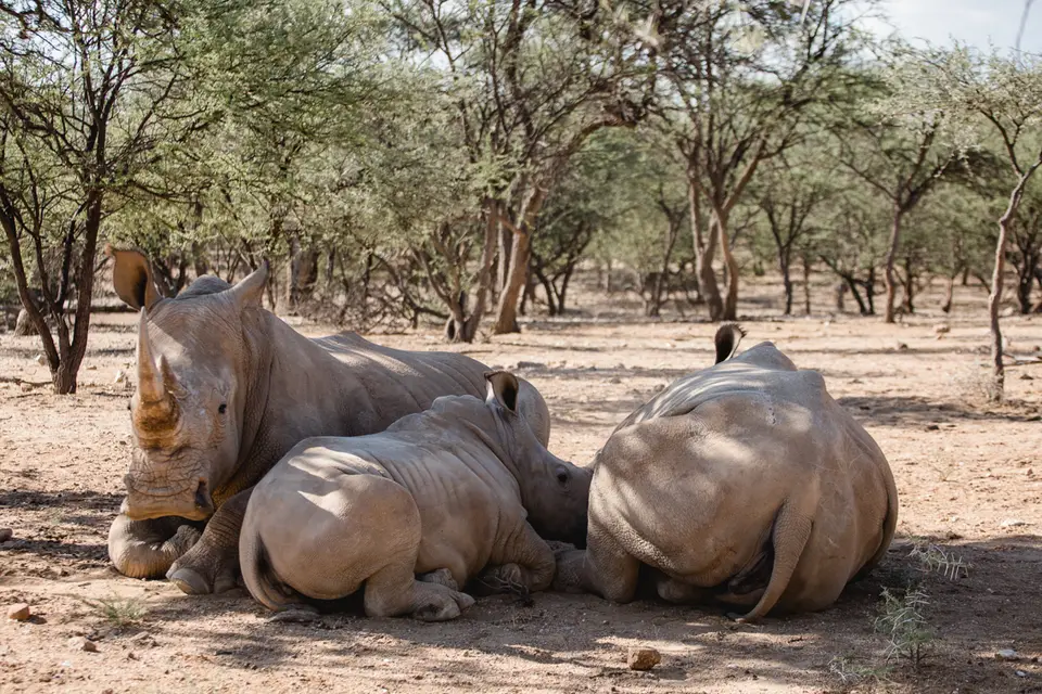 018-Namibia_Reisebericht_2023-2-3-4-5-6.jpg