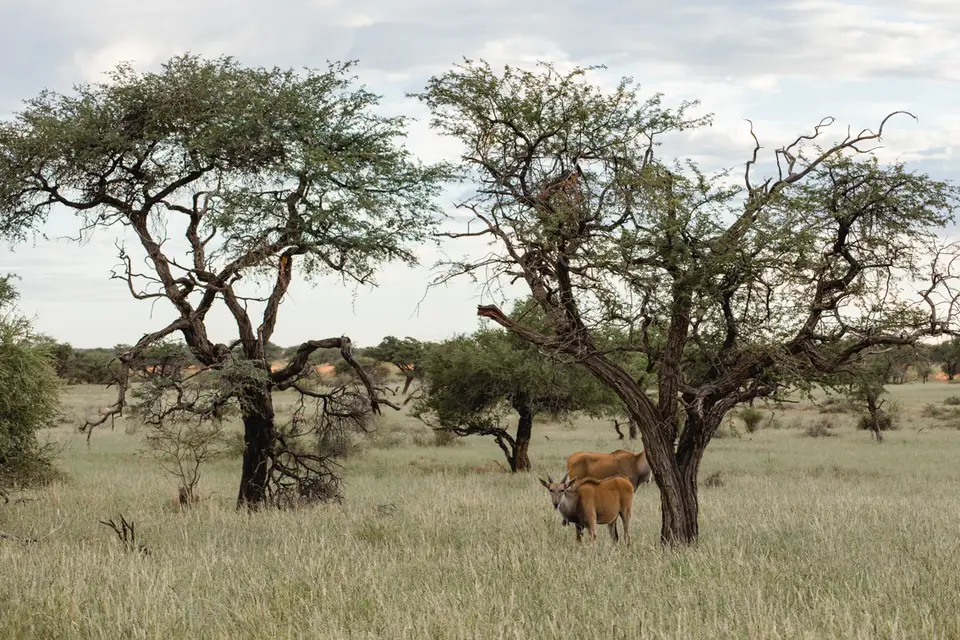 019-Namibia_2026.jpg