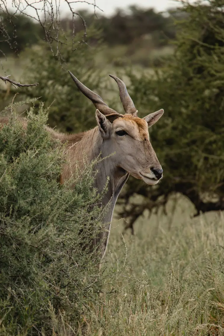 020-Namibia_2026.jpg