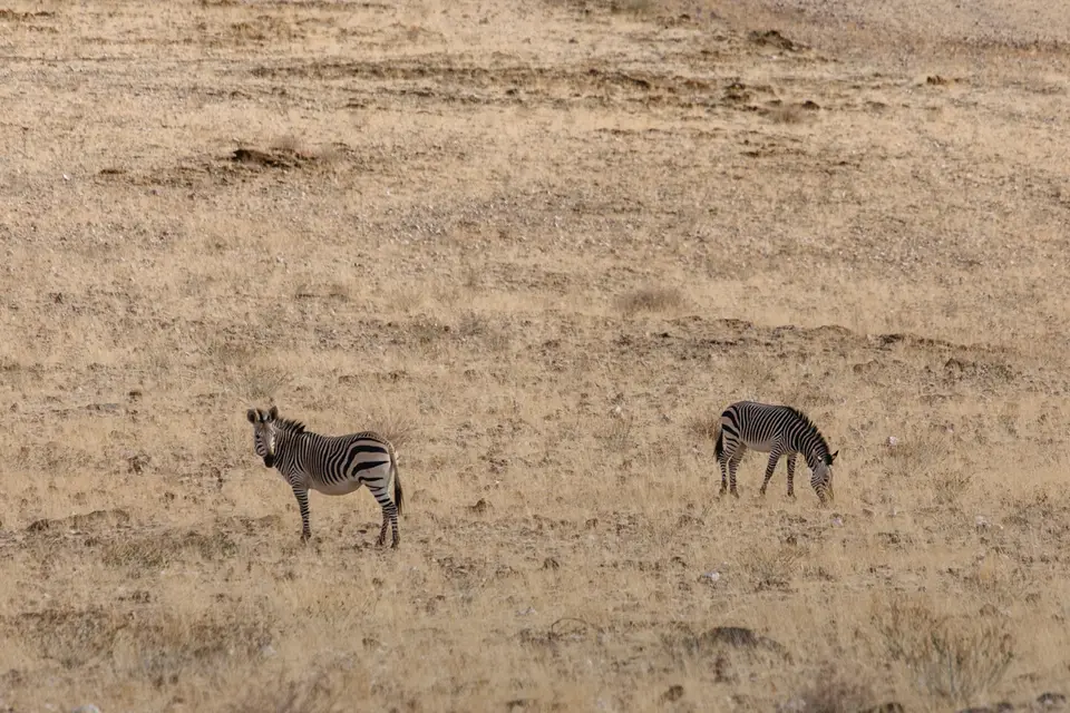 020-Namibia_Reisebericht_2023-2-3-4.jpg