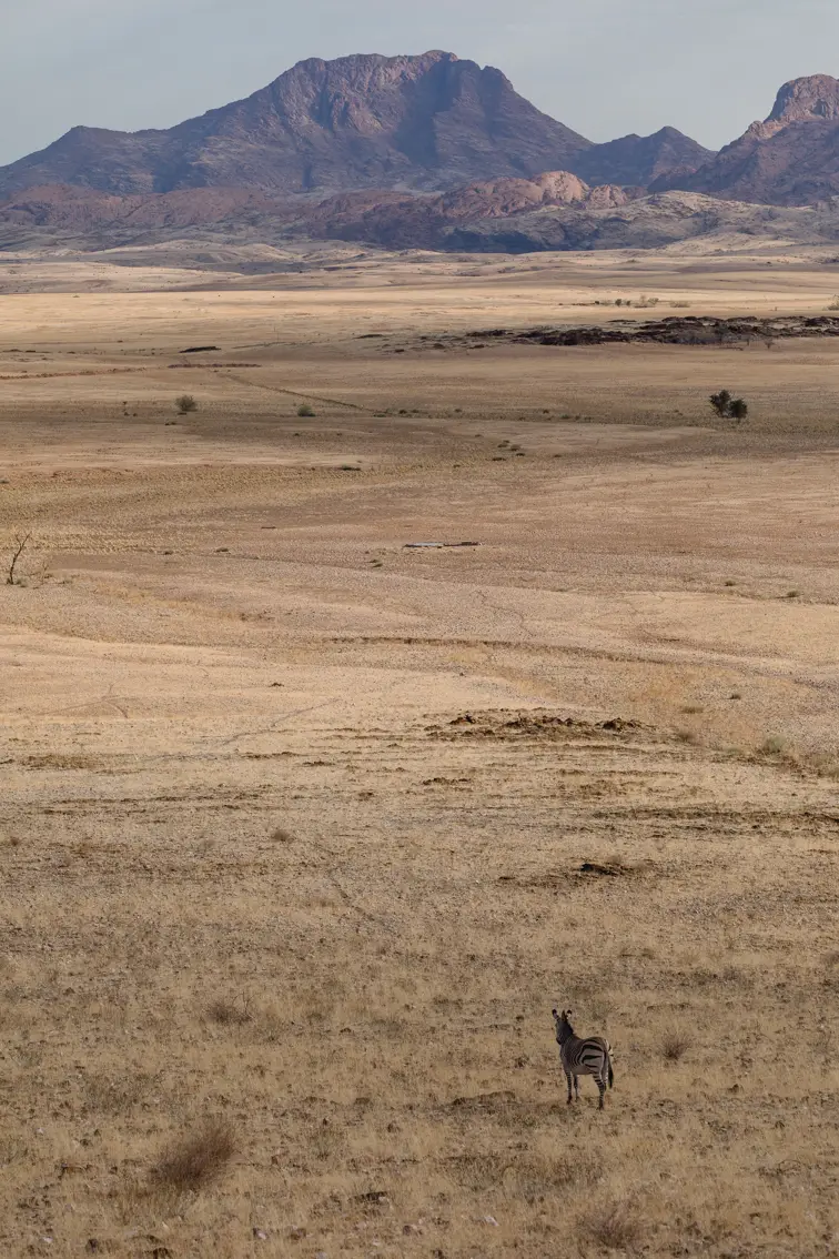 021-Namibia_Reisebericht_2023-2-3-4.jpg