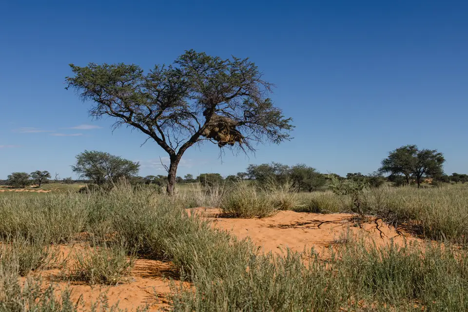 027-Namibia_2026.jpg