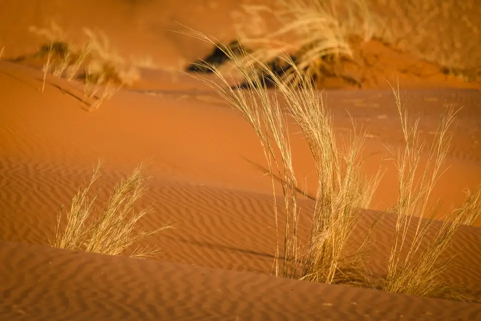 028-Namibia_Reisebericht_2023.jpg