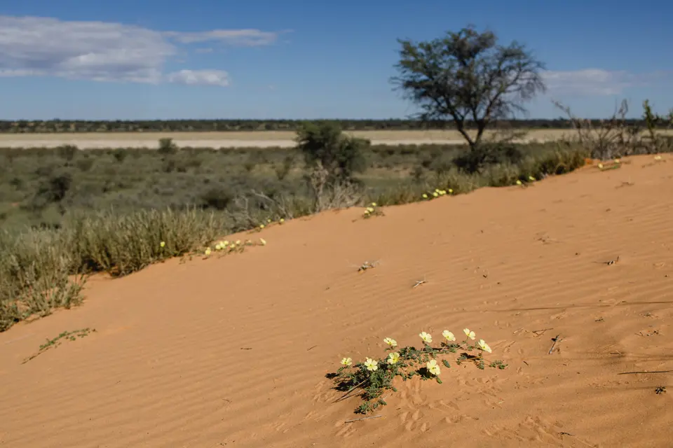 029-Namibia_2026.jpg