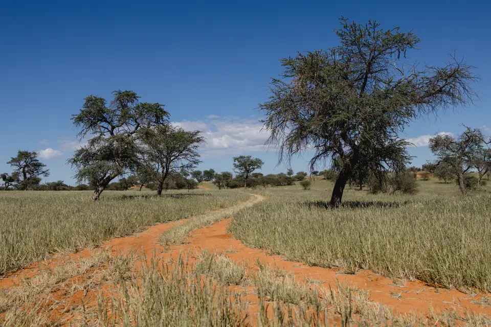 032-Namibia_2026.jpg