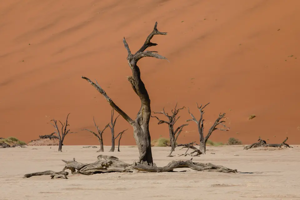 035-Namibia_Reisebericht_2023.jpg