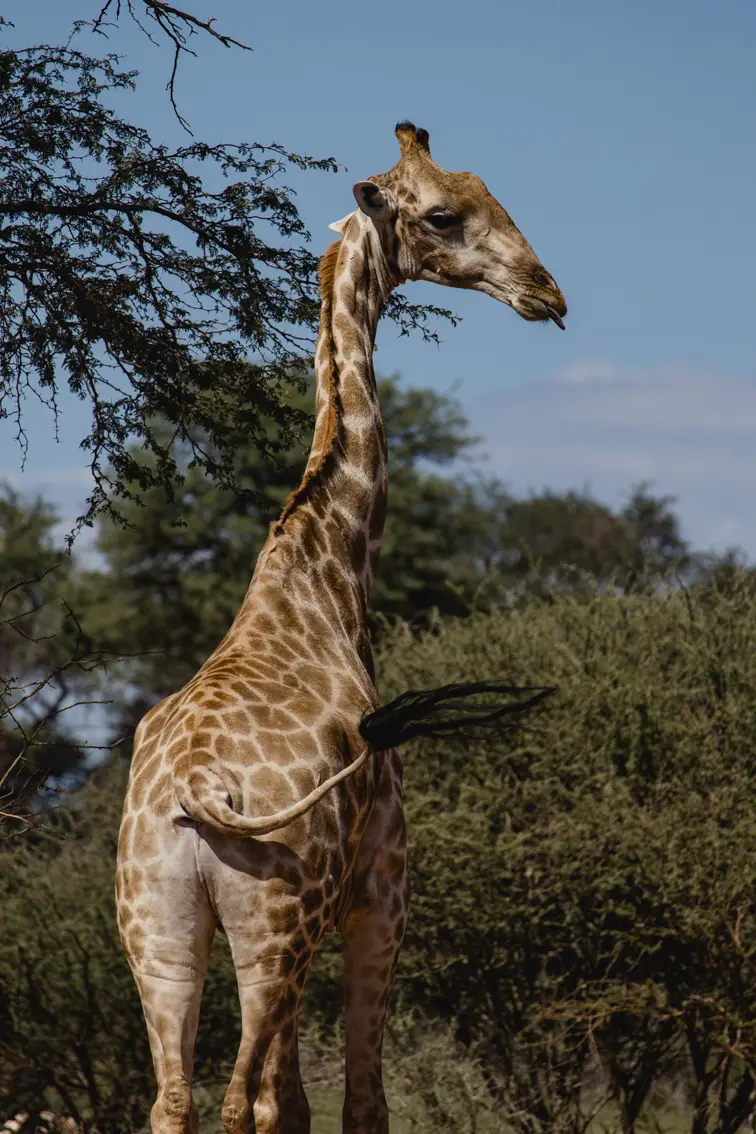 037-Namibia_2026.jpg