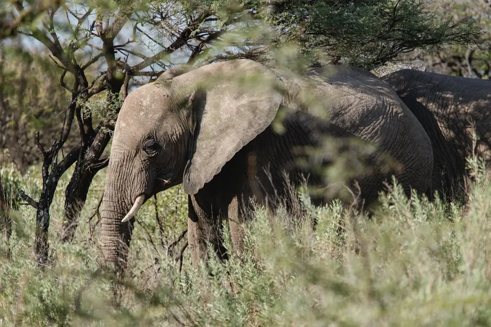 037-Namibia_Reisebericht_2023-2-3-4-5.jpg