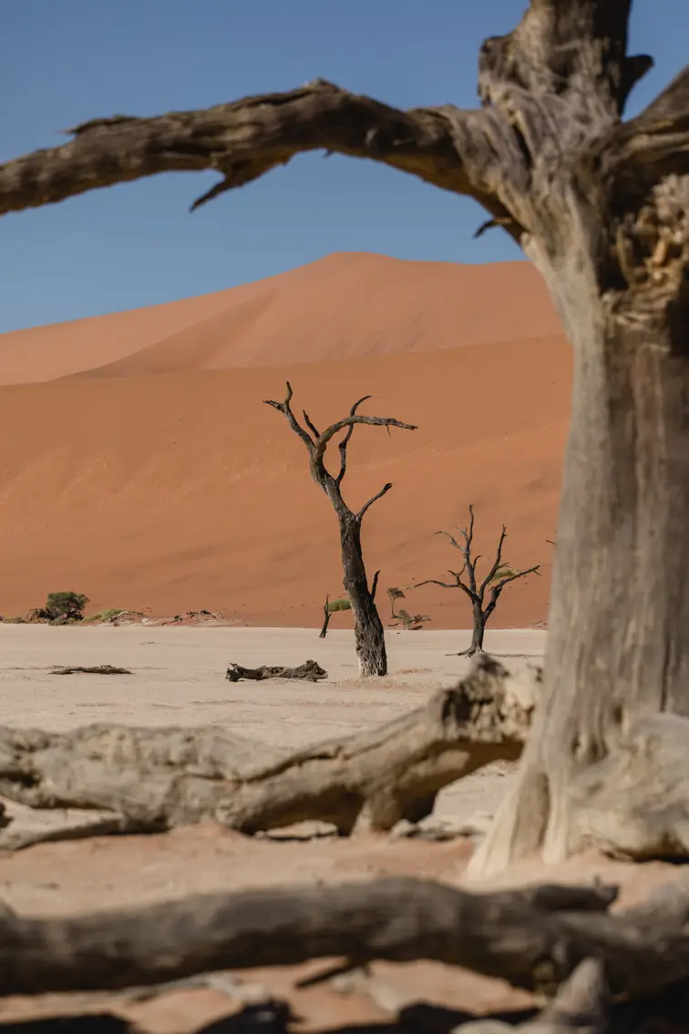 037-Namibia_Reisebericht_2023.jpg