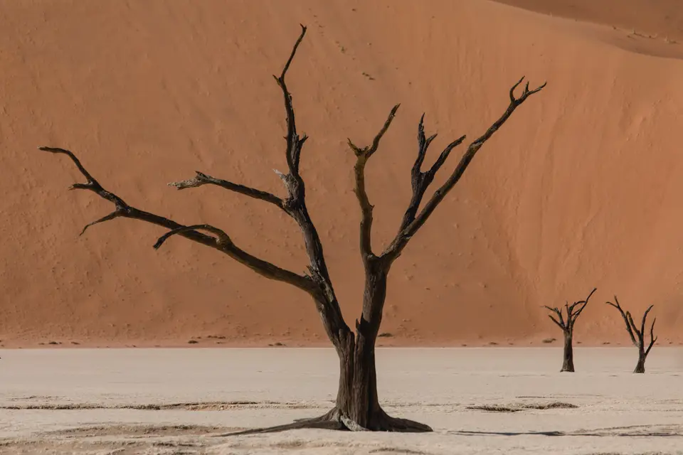 038-Namibia_Reisebericht_2023.jpg