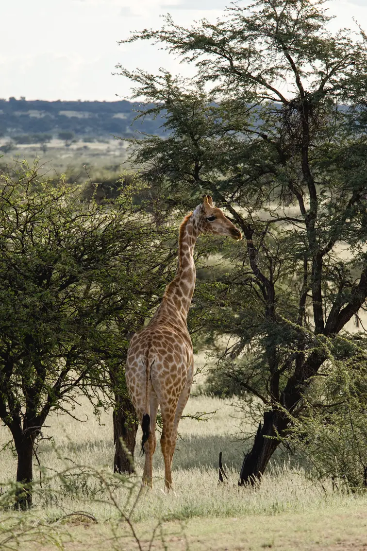 041-Namibia_2026.jpg