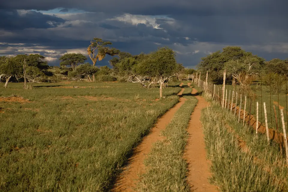 043-Namibia_2026.jpg