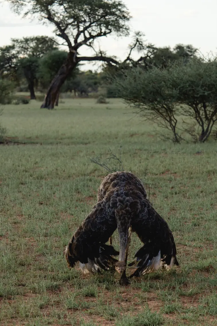 044-Namibia_2026.jpg