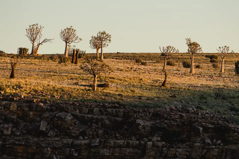083-Namibia2026.jpg