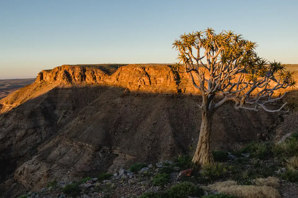 085-Namibia2026.jpg
