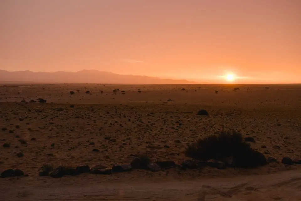 144-Namibia2026.jpg