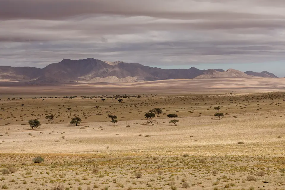 150-Namibia2026.jpg