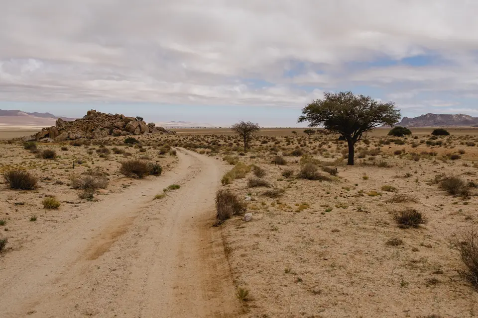161-Namibia2026.jpg