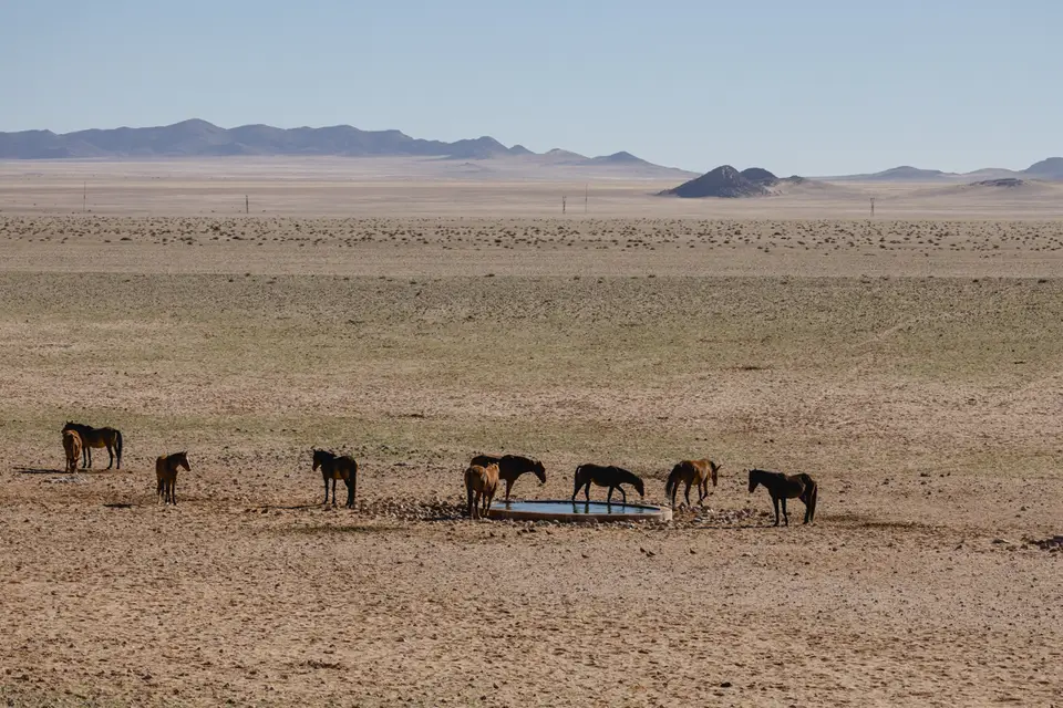 190-Namibia2026.jpg