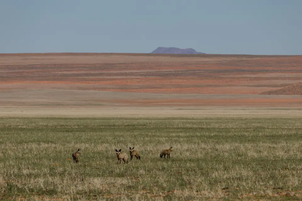 247-Namibia2026.jpg