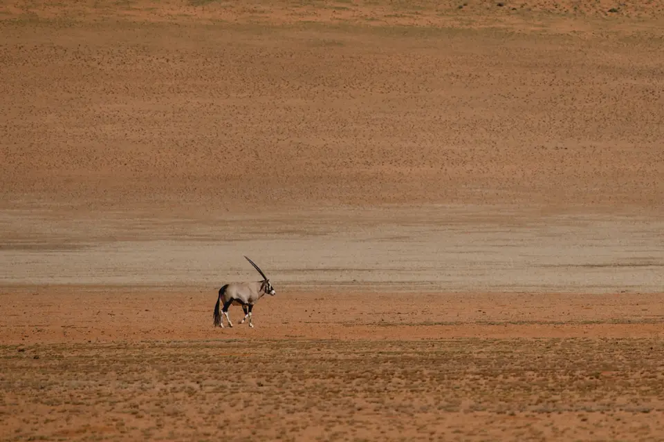 249-Namibia2026.jpg