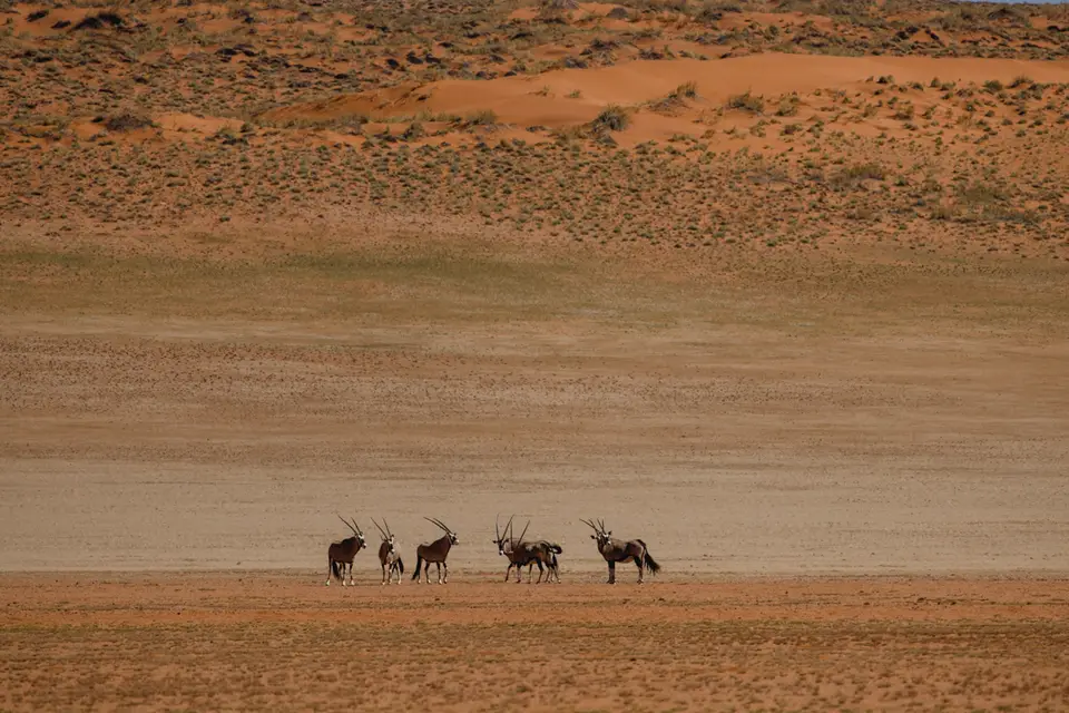 250-Namibia2026.jpg
