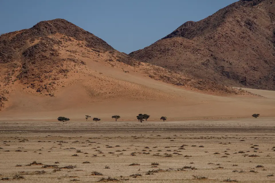253-Namibia2026.jpg