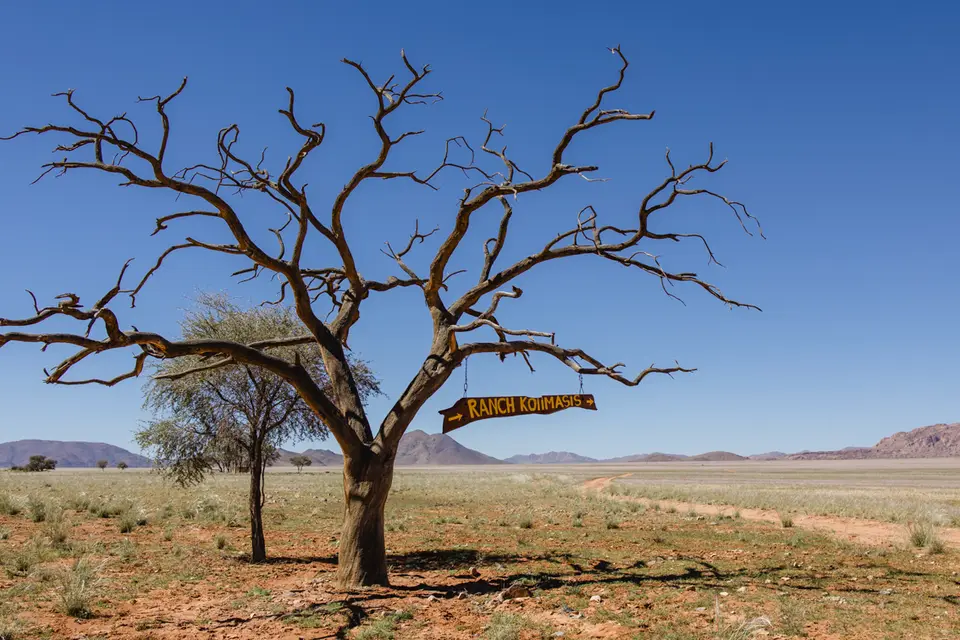 254-Namibia2026.jpg