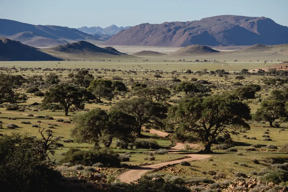 263-Namibia2026.jpg
